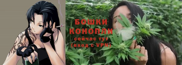 ALPHA-PVP Надым