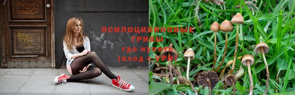 герыч Наволоки