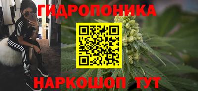 трава Аргун