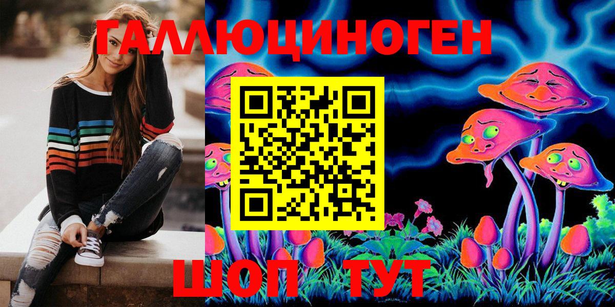 купить наркотик  Балаково  Псилоцибиновые грибы Psilocybe 