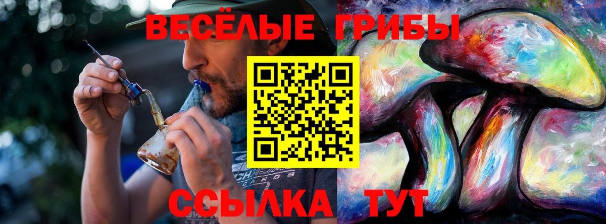 Балаково  купить закладку  Вход с VPN  Галлюциногенные грибы Psilocybe  Псилоцибиновые грибы прущие грибы 