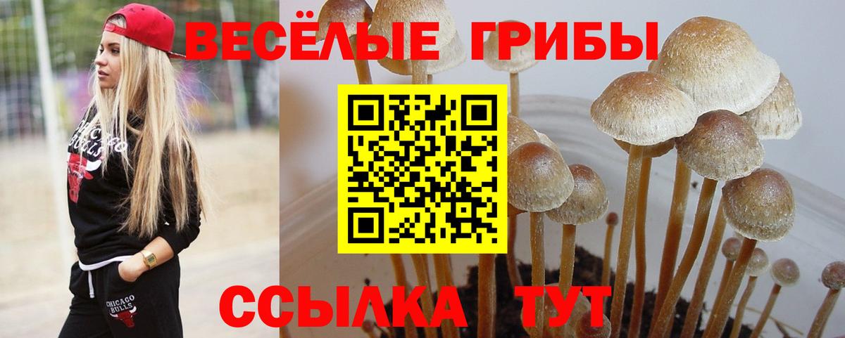 Конопля  ТГК  Вход с VPN  Мефедрон  Меф кристаллы  ГАШ  Балаково  МЕТ 